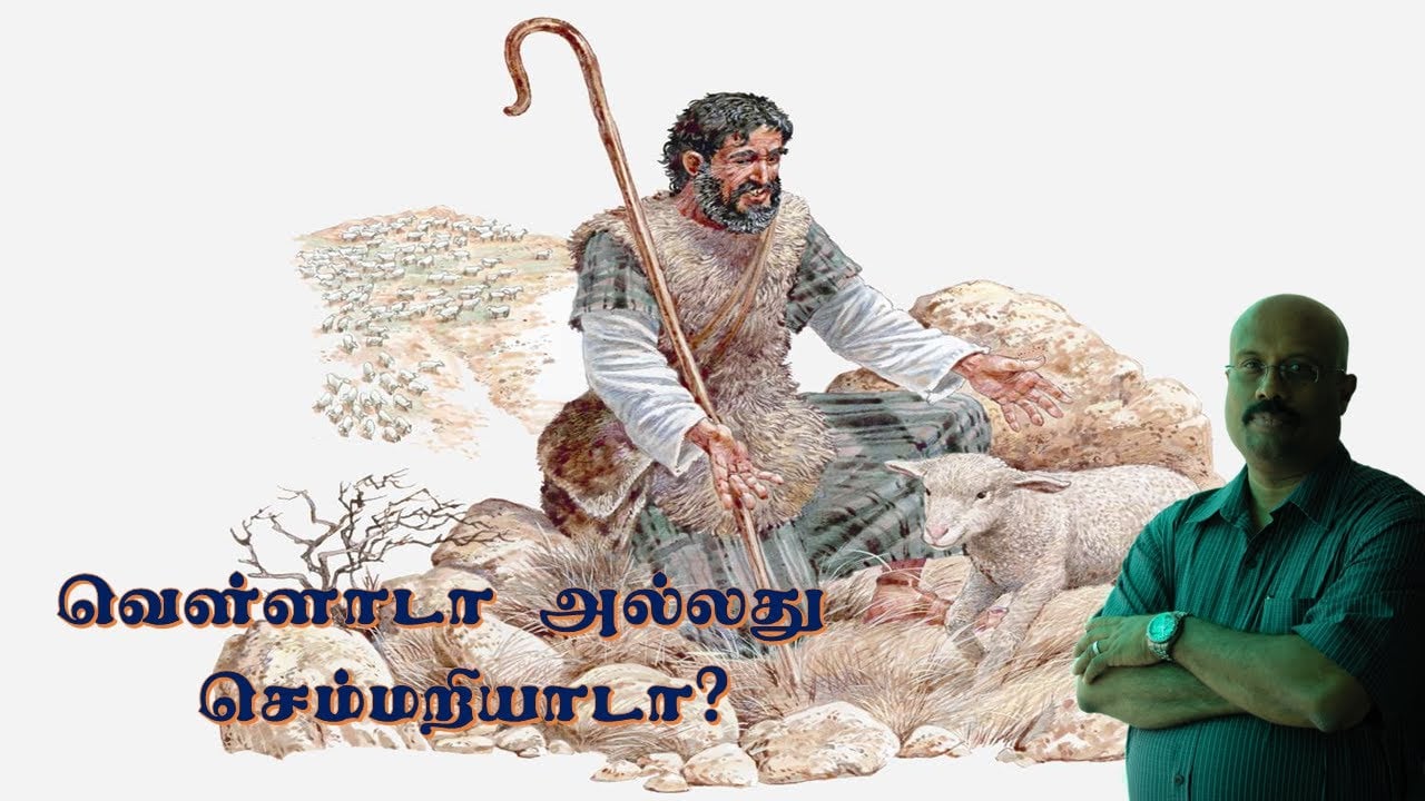 GOAT OR SHEEP - BIBLE STUDY