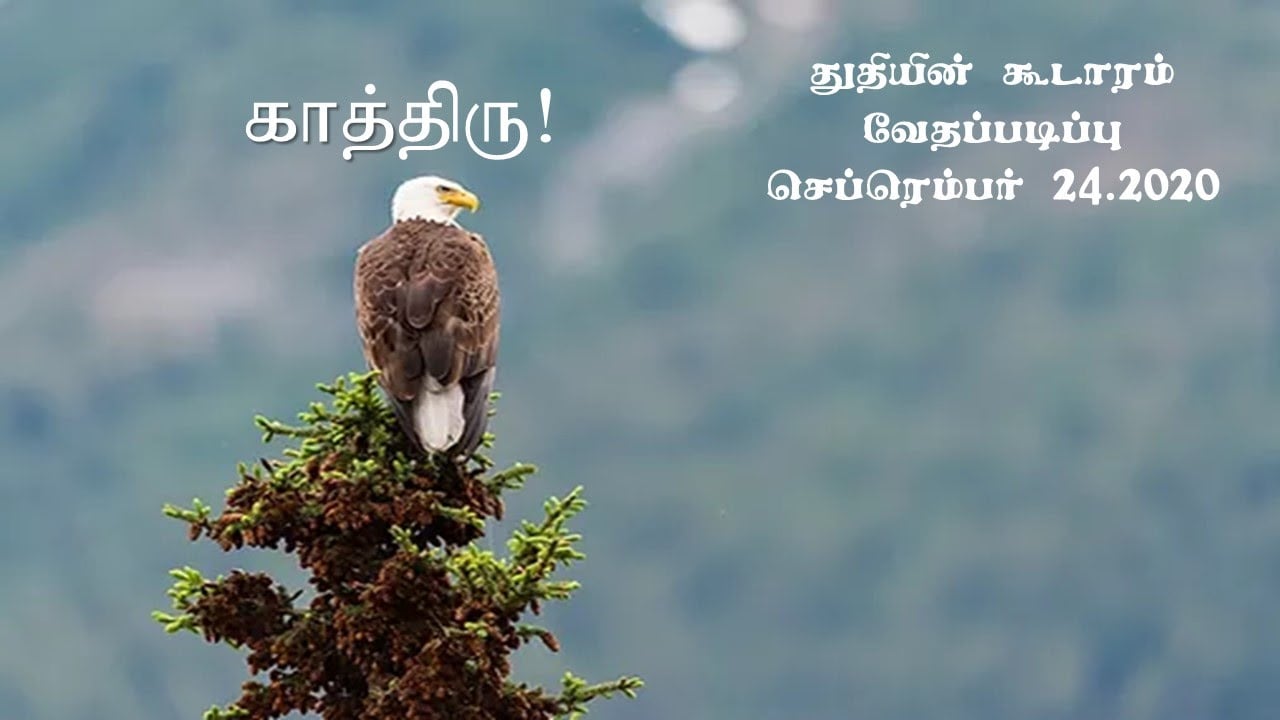 காத்திரு - (Wait)Tamil Bible Study - Sept 24, 2020