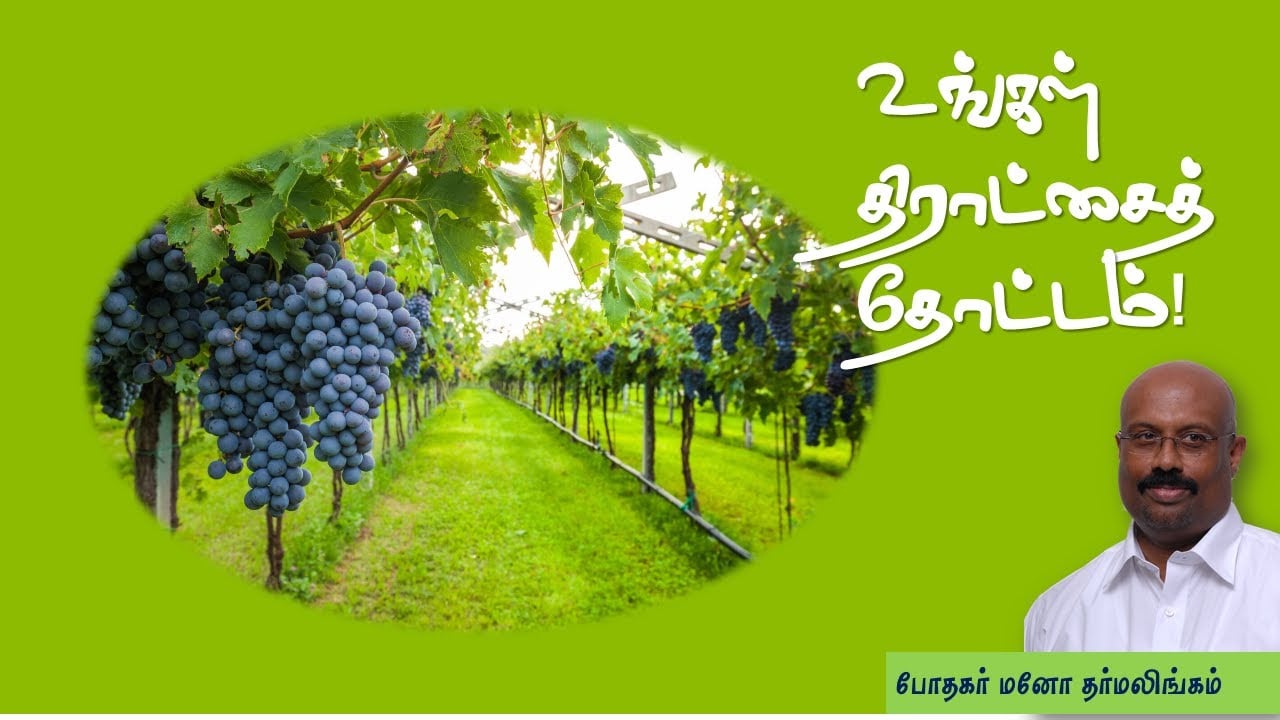 Guard your vineyard