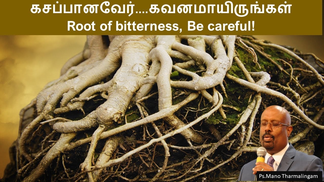 கசப்பான வேரா? கவனமாயிருங்கள்!